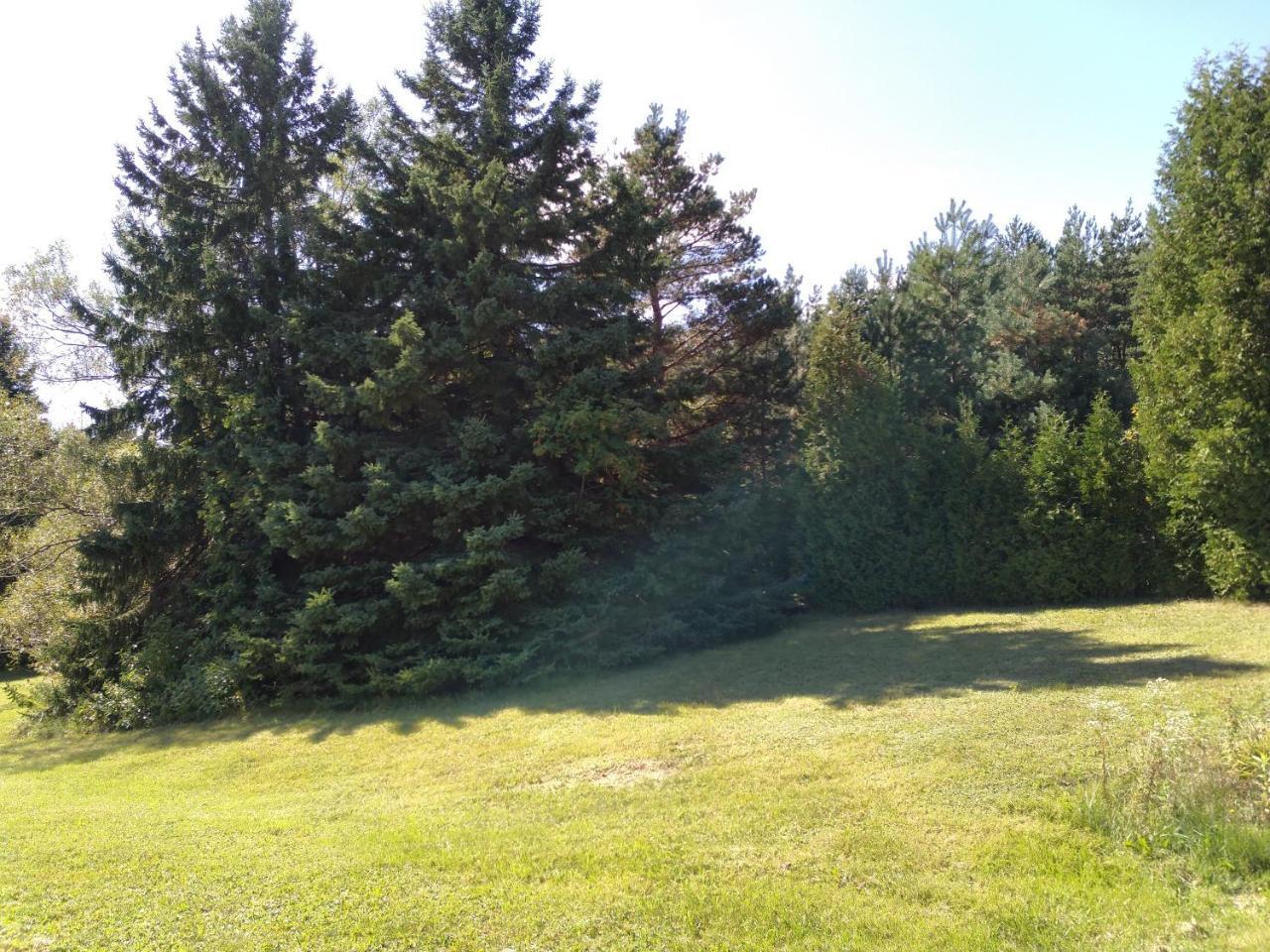 Auberge Pique Nique Shawinigan Zewnętrze zdjęcie